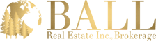 balllogo